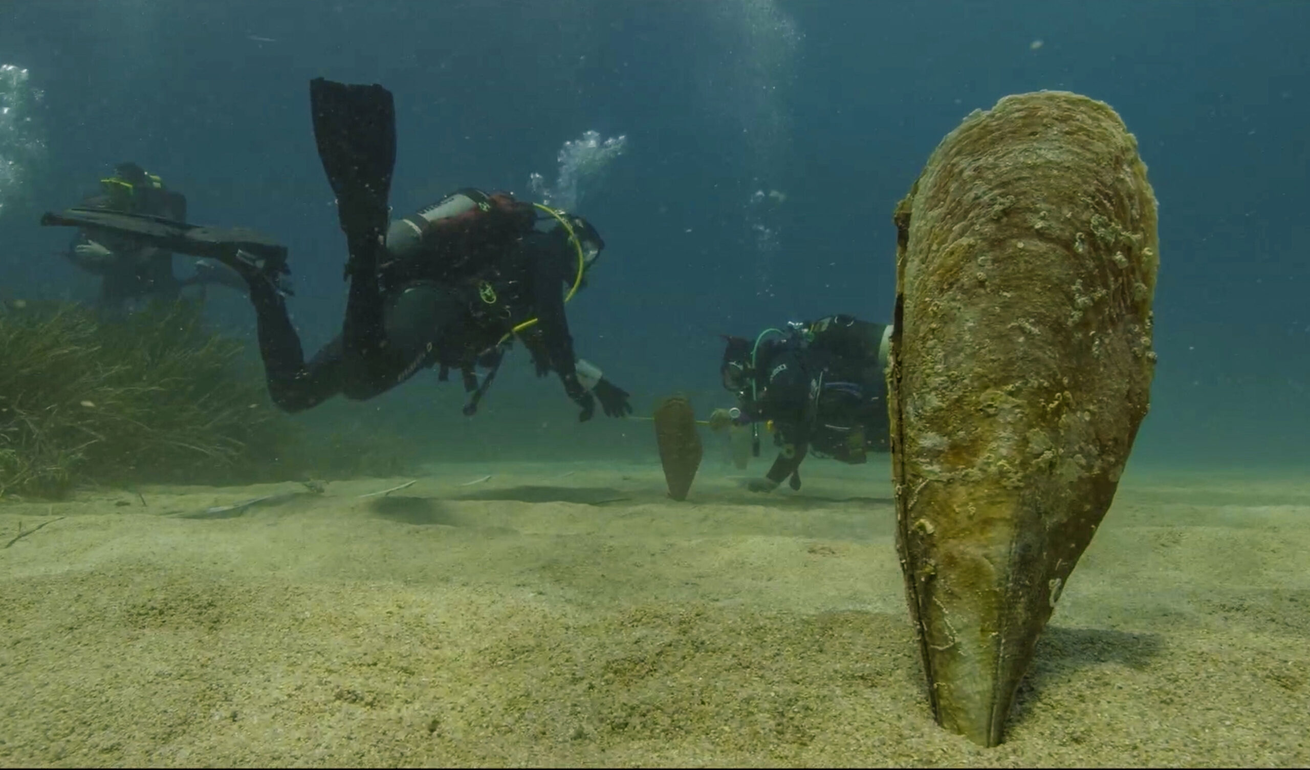 Appuntamento in primavera
