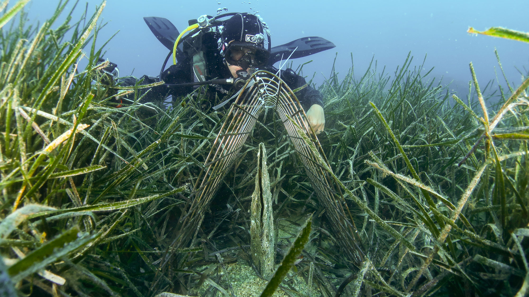 Ecco i “deliverable”