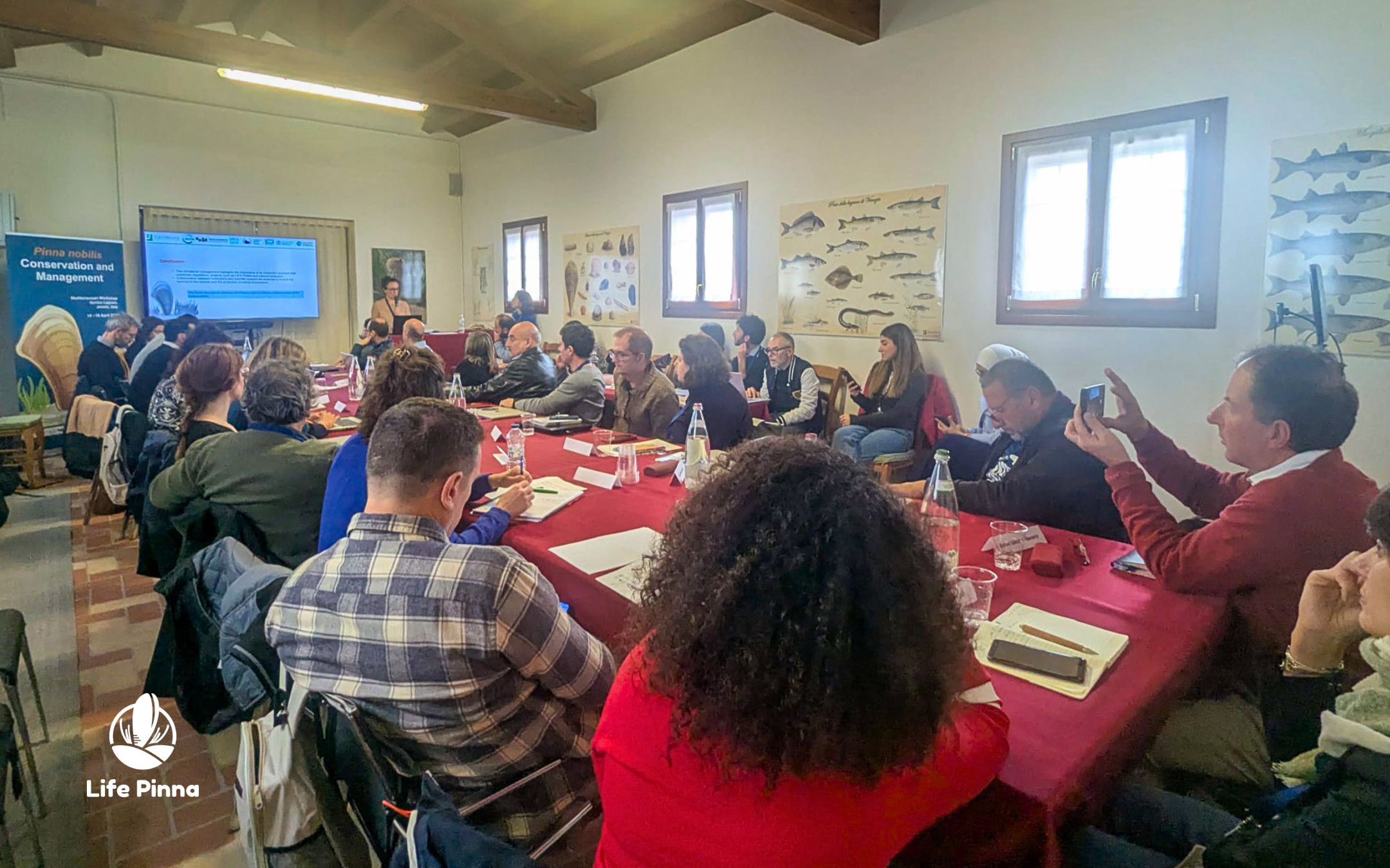 Gli esperti in Laguna: il workshop della task force per Pinna nobilis